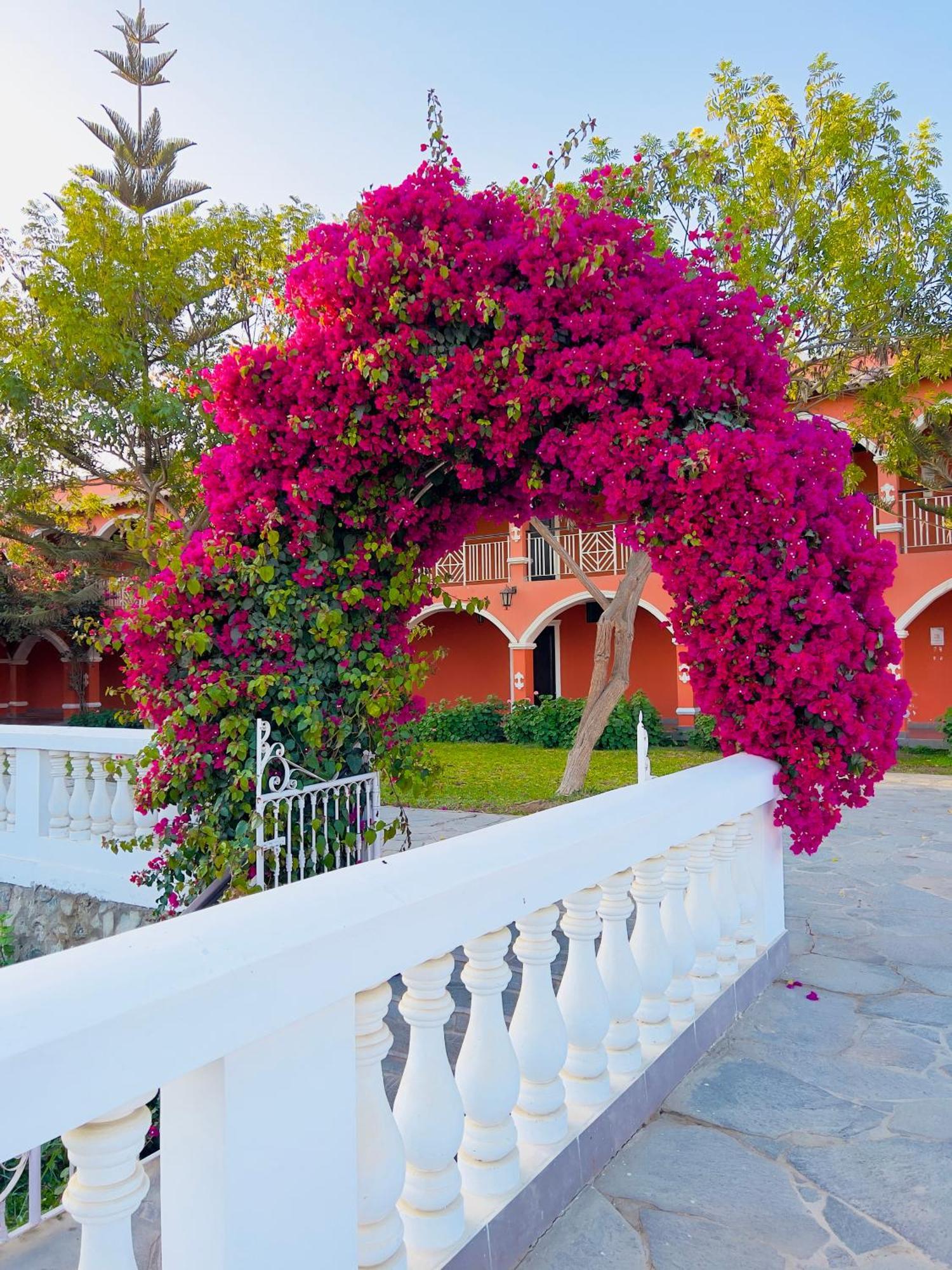 Hacienda San Juan Resort San Juan Bautista Eksteriør bilde